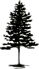 Cypress AI and Neural Engine